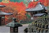 1000ピース 愛宕念仏寺-秋 1000-423