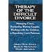 Therapy of the Difficult Divorce: Managing Crises, Reorienting Warring Couples, Working with the Children, and Expediting Court Processes (The Master Work Series)