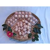 ���i�̏ڍ�