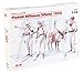 ICM 1/35Â WWII 035566Â Finnish Infantry Plastic Model Kit