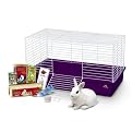 My First Rabbit Home Complete Kit