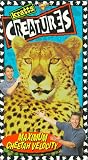 Kratts Creatures Max.Cheetah