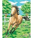 Horse in Field Color-by-Number