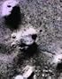 Extra-Terrestrial Archaeology
