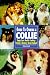 Guide to Owning a Collie: Puppy Care, Health, Feeding, Training, Showing, Breed Standard (Re Dog Series)