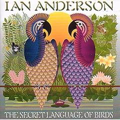 The Secret Language of Birds