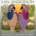 The Secret Language of Birds