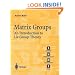 Matrix Groups: An Introduction to Lie Group Theory