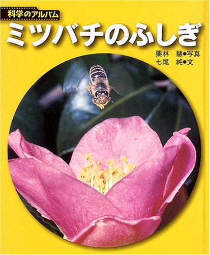 ミツバチのふしぎ (科学のアルバム)