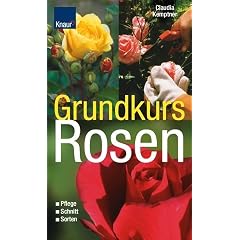 Grundkurs Rosen