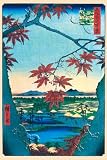 Art Poster, The Maple Trees - 18.75 x 27.5
