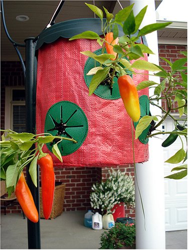 Childrens Toyshop  Outdoor Living : Hot Pepper Vertical Grow Bag