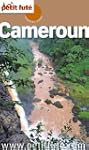 Cameroun 2011