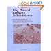 Clay Mineral Cements in Sandstones: (Special Publication 34 of the IAS) (International Association Of Sedimentologists Series)