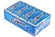 Trident Val U Pak Wintergreen 12 Packs