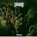 Metal vom Feinsten
