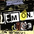 Lemon Tree