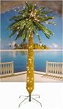 6' Tropical Lighted Palm Tree With Warm Clear LED Lights
