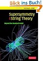 Supersymmetry and String Theory: Beyond the Standard Model