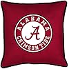 Sports Coverage College Sidelines Pillow