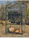 Gardman 3 Tier Mini Greenhouse - Replacement Cover