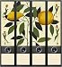 File Art - Design Etiketten - Motiv Lemons - breit