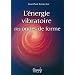 L'Energie vibratoire des ondes de formes