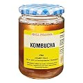 KOMBUCHA TEEPILZ 1 St�ck