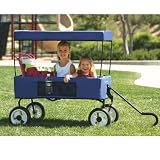Fold it & Go Wagon (Blue)