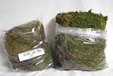 Real Natural Sheet Moss - Very Clean! - 16 oz