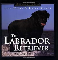 The Labrador Retriever: The Dog That Does It All
