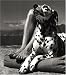 Herbert List: The Monograph