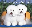 For the Love of Bichon Frise 2009 Calendar