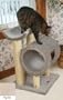 Cradle & Tunnel Cat Tree Color: Oyster