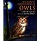 OWL PALS Books Toys DVDs for Kids
