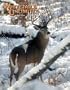 Whitetails Unlimited Magazine