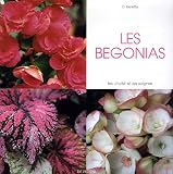 Les b�gonias