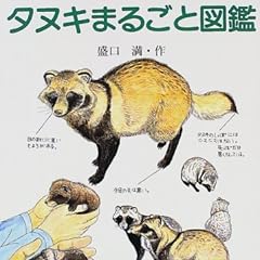 タヌキまるごと図鑑 (子ども科学図書館)