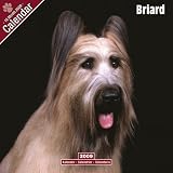 Eigenschaften Avonside Publishing Ltd.  / Kalender 2009 Briard - NEU!