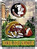 Florida State Seminoles NCAA Licensed Home Field Advantage Series 48 x 60 Throw Blanket