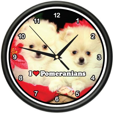 POMERANIAN ~Wall Clock~ pomeranians dog pet puppy gift