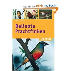 Beliebte Prachtfinken