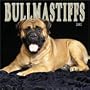 Bullmastiffs 2002 Wall Calendar