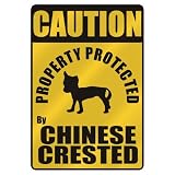 CAUTION  PROPERTY PROTECTED BY CHINESE CRESTED  PARKING SIGN DOG