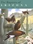 The Raptors of Arizona