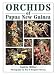 Book Orchids of Papua New Guinea