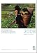 Friends of the Earth International food and agriculture calendar 2008 (Spanish and French Edition)