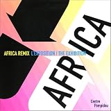 Africa Remix, l'art contemporain d'un continent : L'exposition : The Exhibition