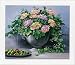 Flowers And Apples I Art Print Poster By Karin Valk, 27.5" X 23.5", With Gold Metal Frame