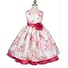 Flower Girl Dresses - Floral Tafetta Dresses (3 colors - Pink, Fuchsia, Green - Size 1/2 - 11/12)
